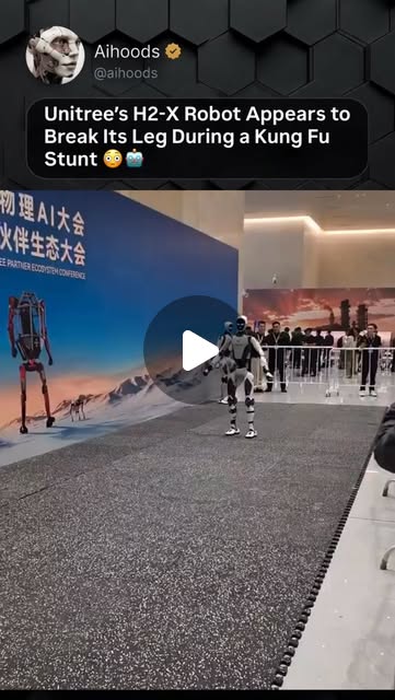 Imagen de la fuente para: Un robot de Kung Fu sufre un fallo en pleno espectáculo